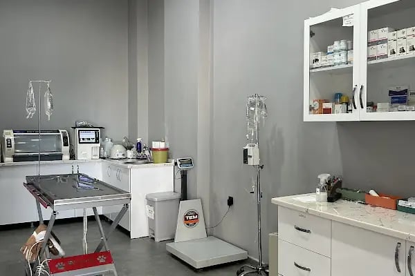MyVet Veteriner Kliniği - Erzurum - Resim 20