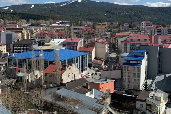 Sarıkamış Çetinkaya Apart Otel - Resim 15