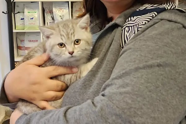Meoof Veteriner Kliniği - Resim 9