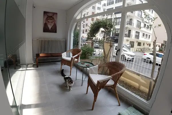 Meoof Veteriner Kliniği - Resim 3
