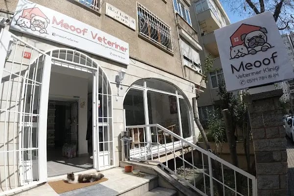 Meoof Veteriner Kliniği - Resim 4
