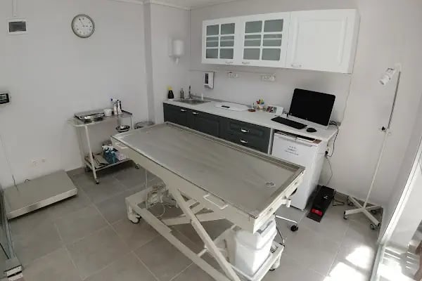 Meoof Veteriner Kliniği - Resim 6