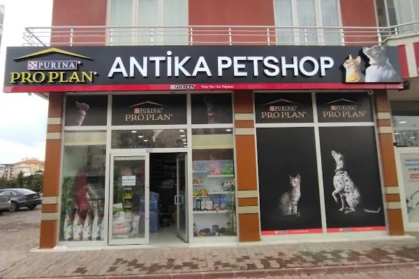 Antika Petshop - Resim 1