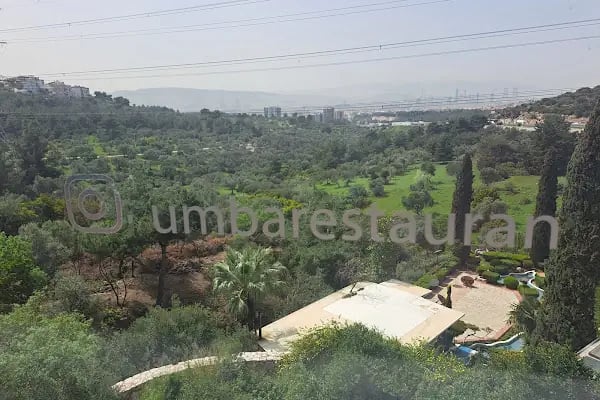Cumba Cafe Ve Restaurant - Resim 5