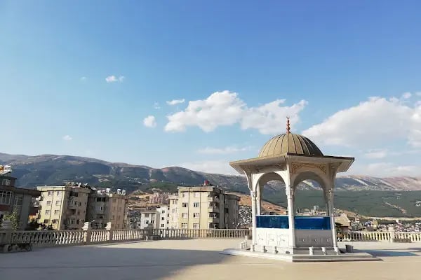 Abdülhamid Han Camii - Resim 7
