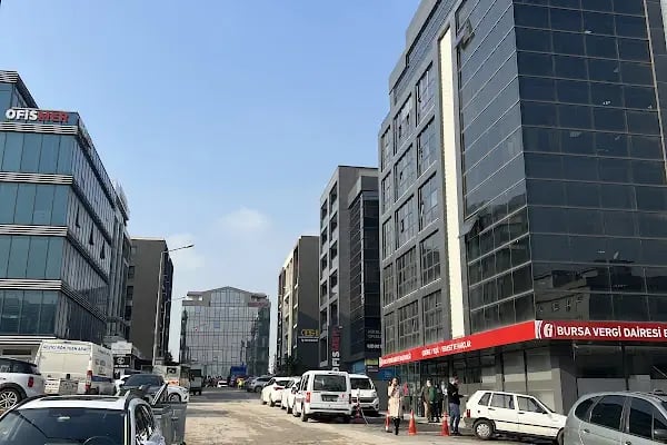 Çekirge / Yeşil / Veraset ve Harçlar Vergi Dairesi - Resim 6