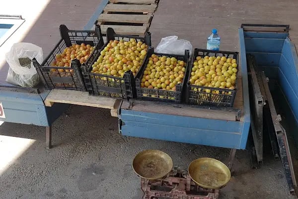 Afşin Süt Pazarı - Resim 9