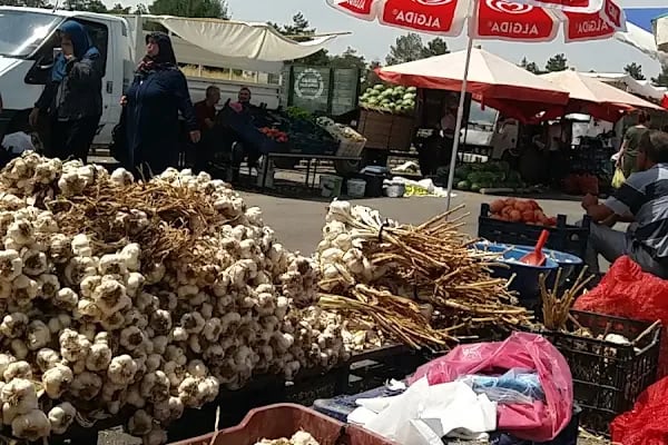 Afşin Süt Pazarı - Resim 2