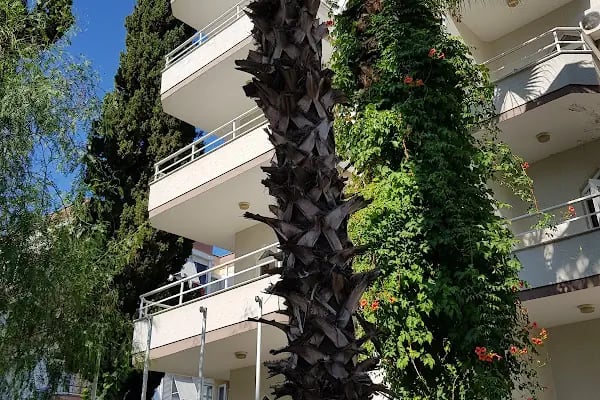 Lale Apart Hotel - Resim 4