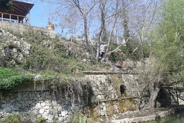 Barış Gözleme - Resim 17