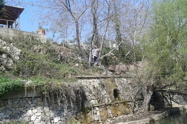 Barış Gözleme - Resim 18