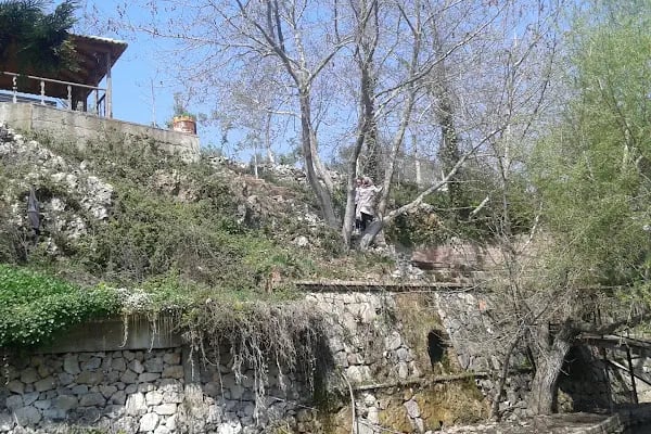 Barış Gözleme - Resim 3