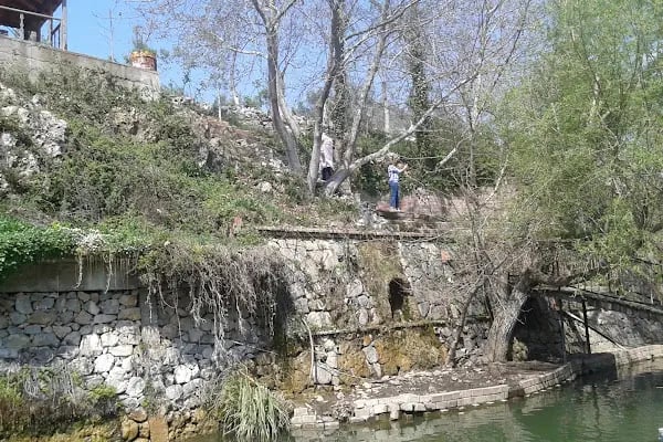Barış Gözleme - Resim 7
