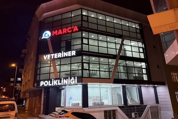 Marca Veteriner Polikliniği / Sefaköy - Resim 6