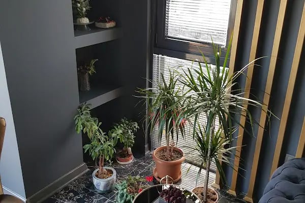 İvente Beauty Çayyolu Güzellik Merkezi,Bölgesel Zayıflama,cilt bakımı,lazer epilasyon - Resim 13