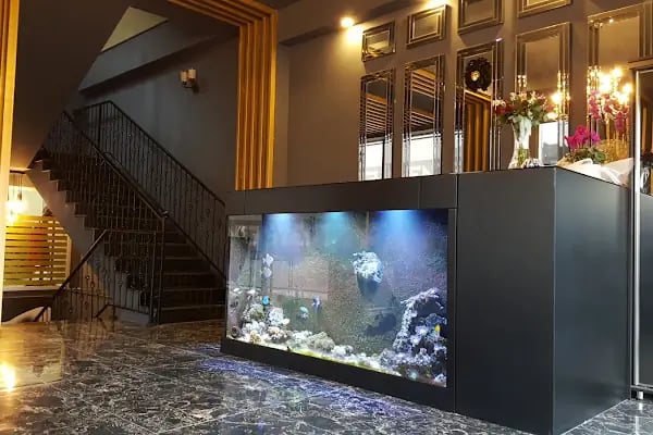 İvente Beauty Çayyolu Güzellik Merkezi,Bölgesel Zayıflama,cilt bakımı,lazer epilasyon - Resim 8