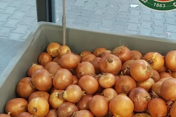 Kooperatif Market - Resim 19