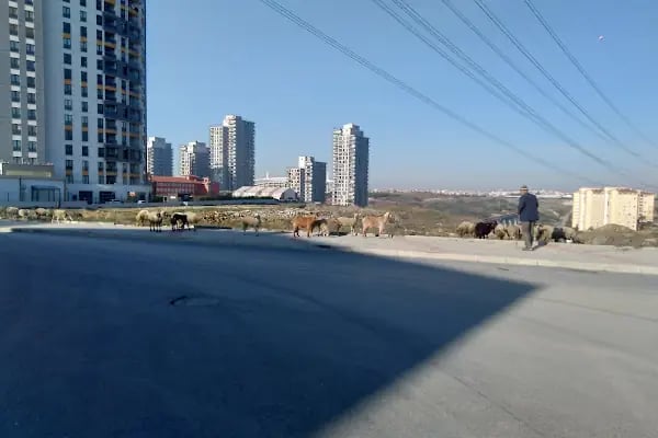 Hasbahçe Sokak - Resim 1