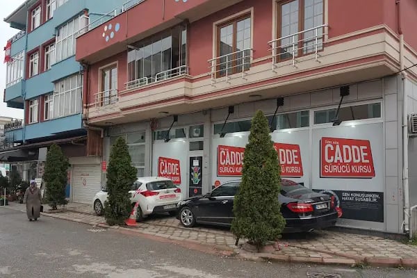 Cadde Sürücü Kursu - Resim 8