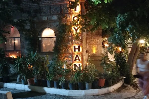 Toy Han Bizim Bahçe Bayraklı - Resim 20