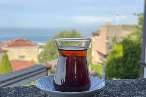 Timurciler Konağı - Resim 9