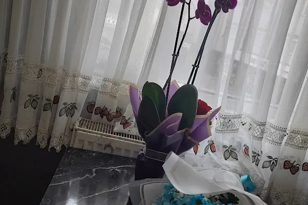 Hello Flower Sakarya 7-24 Çiçek Hizmeti - Resim 19