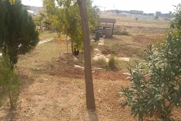 GaziPark Düğün ve Organizasyon - Resim 10