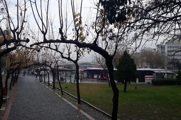 Bahribaba Parkı - Resim 10