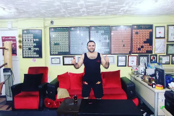 Barış için savunma sanatları - Resim 13