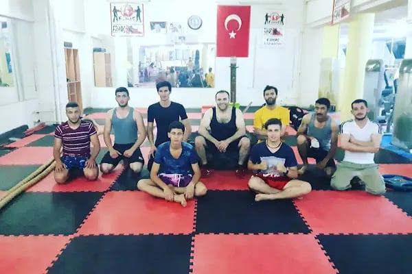 Barış için savunma sanatları - Resim 4