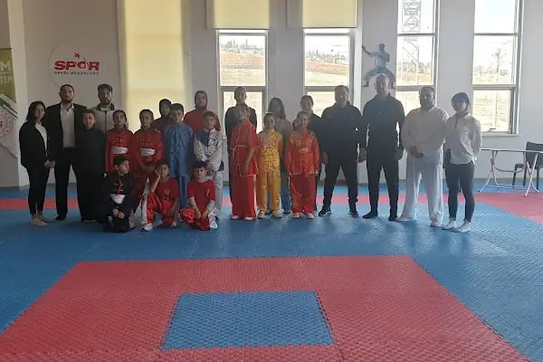 Barış için savunma sanatları - Resim 17
