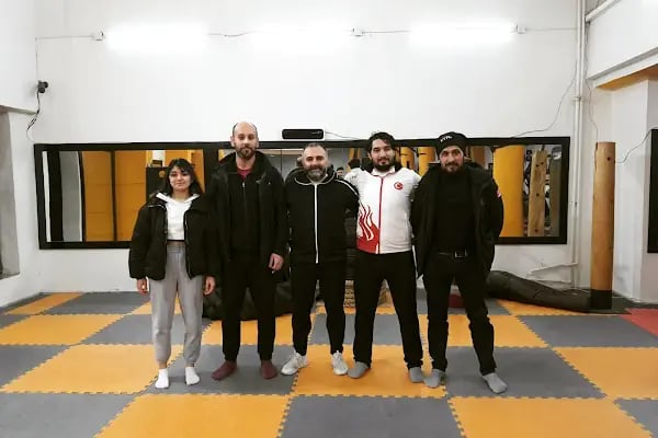 Barış için savunma sanatları - Resim 7