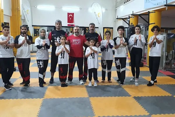 Barış için savunma sanatları - Resim 2