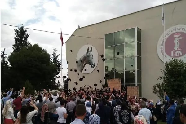 Harran Üniversitesi Veteriner Fakültesi Hayvan Hastanesi - Resim 15