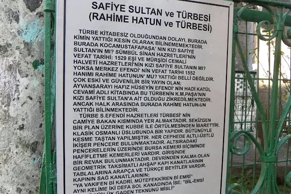 Safiye Hatun Türbesi - Resim 9