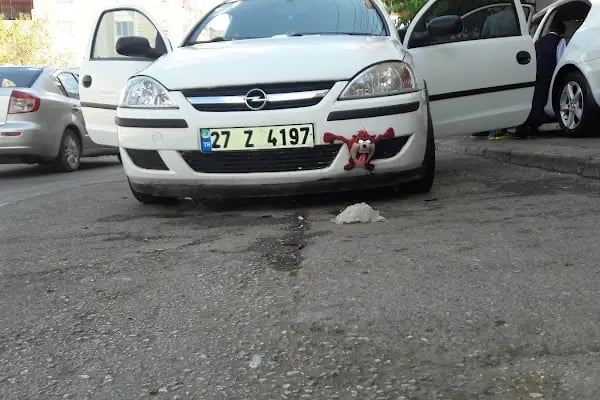 Dostlar Oto Yıkama - Resim 1