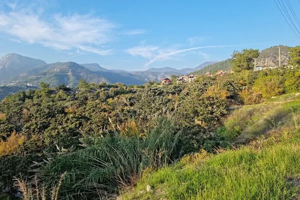 Alanya Stadı - Resim 13