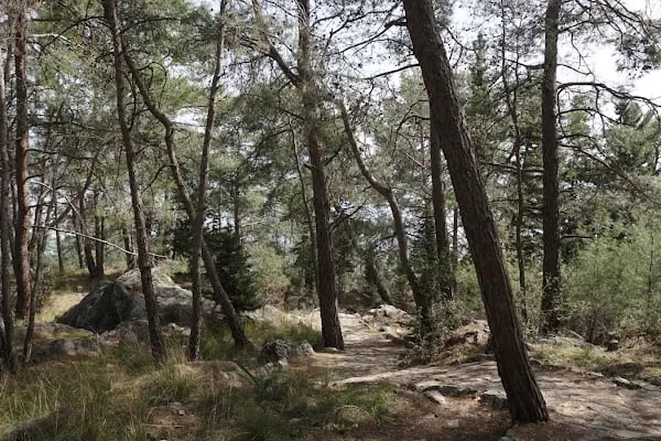 Alanya Stadı - Resim 11