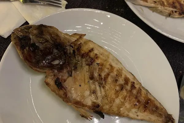 Zazu Restaurant & Bar - Resim 8