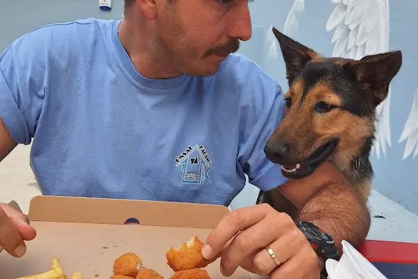 Ünsal Karasu Özel Eğitim ve Rehabilitasyon Merkezi - Resim 11