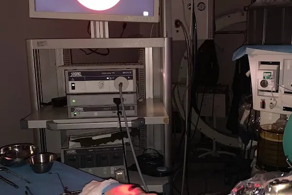 Prof Dr Seyhan Alkan Kulak Burun Boğaz ve Baş-Boyun Cerrahisi Uzmanı - Resim 4