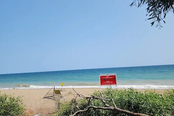 Mersin Yüzüncü Yıl Tabiat Parkı - Resim 7