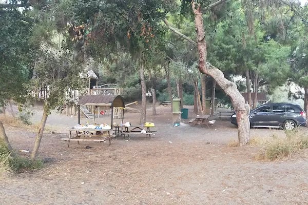 Mersin Yüzüncü Yıl Tabiat Parkı - Resim 8