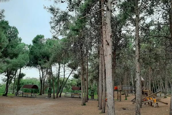 Mersin Yüzüncü Yıl Tabiat Parkı - Resim 1