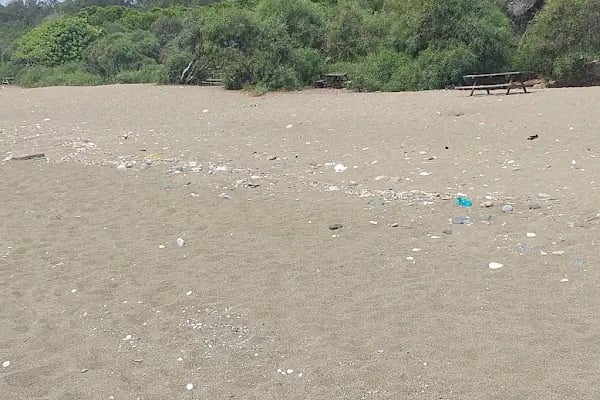 Mersin Yüzüncü Yıl Tabiat Parkı - Resim 5