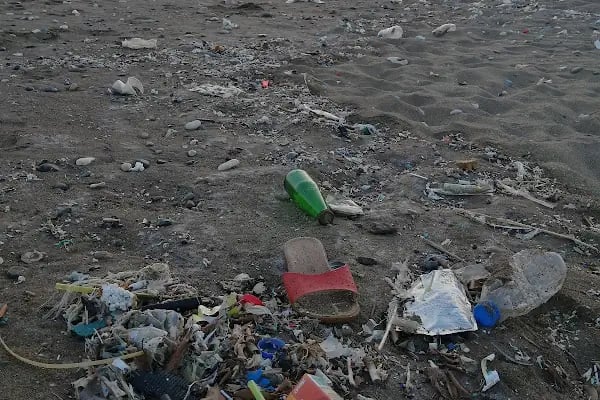 Mersin Yüzüncü Yıl Tabiat Parkı - Resim 14