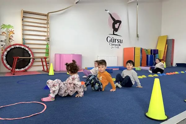 Gürsu Cimnastik Spor Klübü - Resim 9