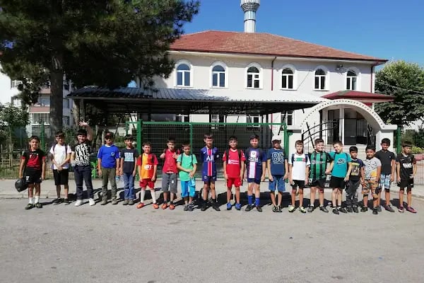 Ozanlar Ulu Cami - Resim 12