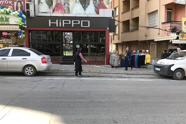 Hippo - Resim 20