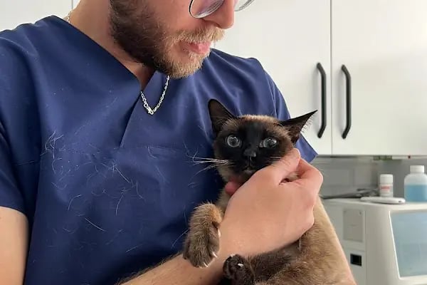 Vetocan Veteriner Kliniği - Resim 10